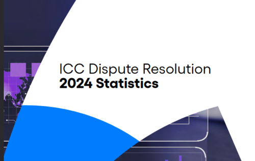 DisputeRelosutionStatistics2024_137.png